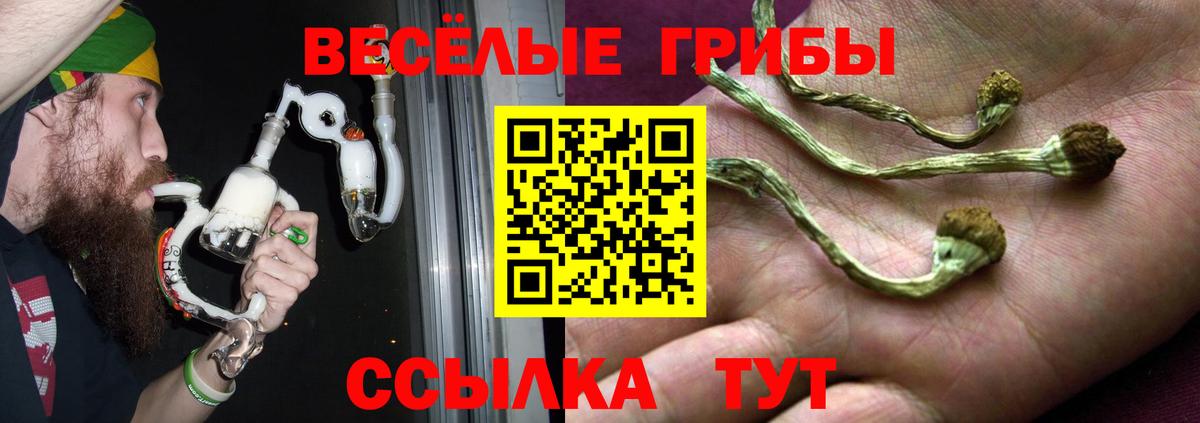 Галлюциногенные грибы MAGIC MUSHROOMS  Вход с VPN  купить наркотики цена  Кисловодск  Псилоцибиновые грибы Cubensis 