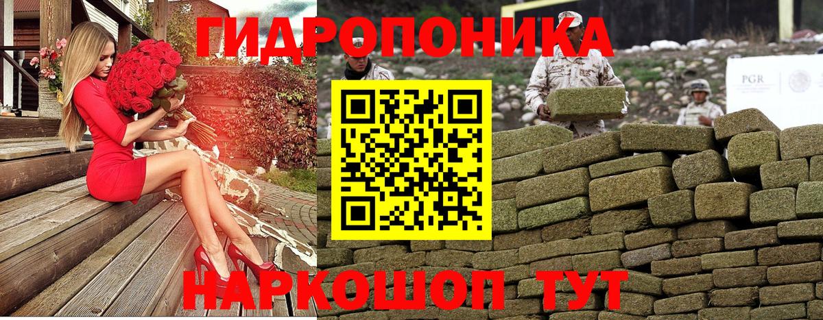 Канабис планчик Кисловодск