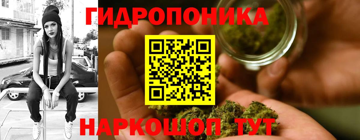 Каннабис AK-47  МАРИХУАНА сатива  Кисловодск  МАРИХУАНА план  Вход с VPN 